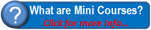mini courses